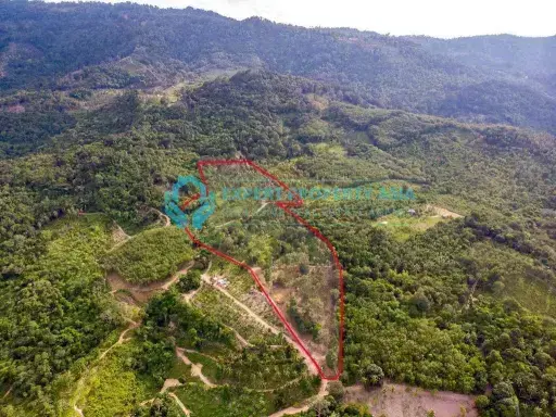 34 Rai Development Land in Maenam, Koh Samui with Four Chanote Titles