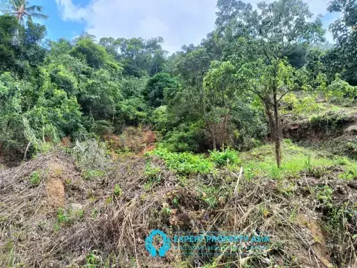 Sea-View Land in Lamai, Koh Samui — From ฿7 Million