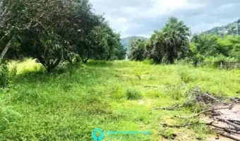 3,898 sqm Chanote Land with Subdivided Plots in Bophut, Koh Samui