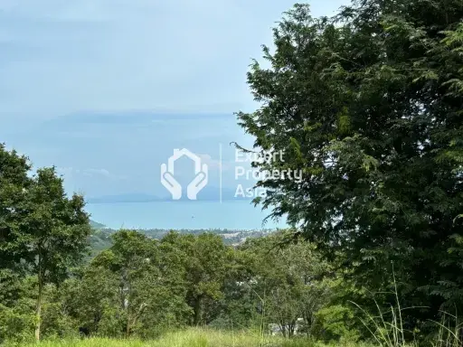 Sea-View Land in Bophut Hill, Koh Samui — 2 Rai and 3 Rai Plots